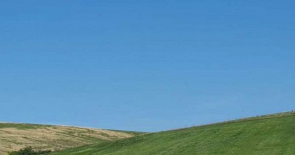 Cota de 1/2 din teren extravilan, comuna Rogova, Jud Mehe...