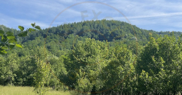 Teren Premium 1559 mp, Brebu Manastirei – Refugiu Montan l