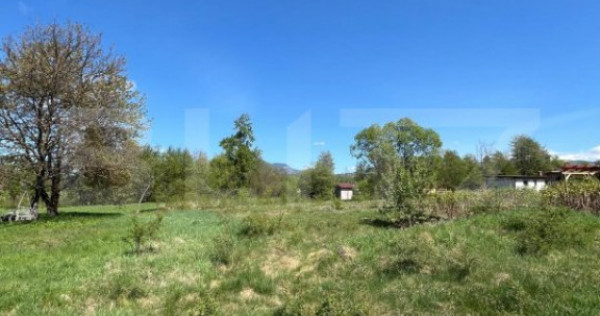 Teren de 30 ari de vânzare în Bistrița Bârgăului – zo