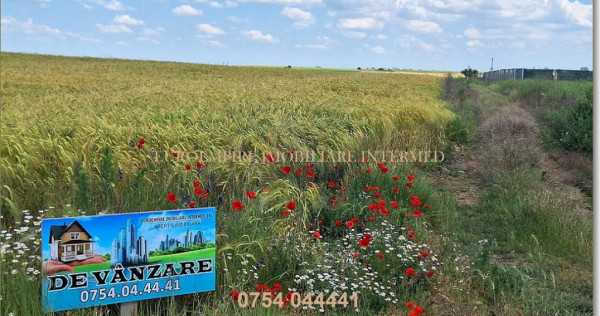 Teren intravilan de vanzare in Lazu 5000mp