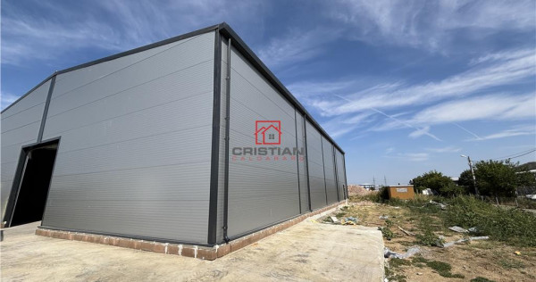 Depozit/hala/spatiu industrial Theodor Pallady - Gara Catel