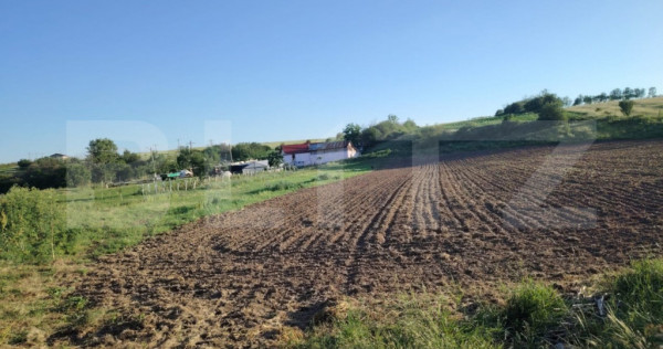 Teren ideal pentru constructie, 2722 mp in Ghercesti