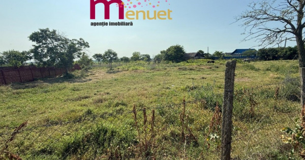 Teren 2900 mp , Dunavatul de sus