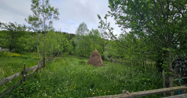 TEREN VANZARE VALEA DOFTANEI