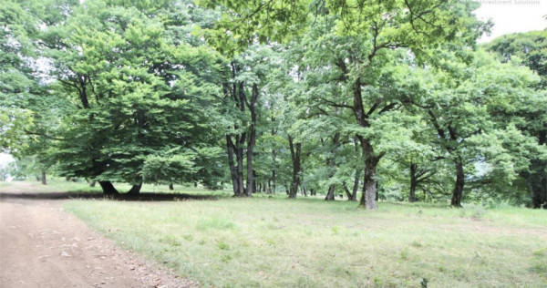 Teren 4713 mp investitie Imobiliara | Poiana Brasov