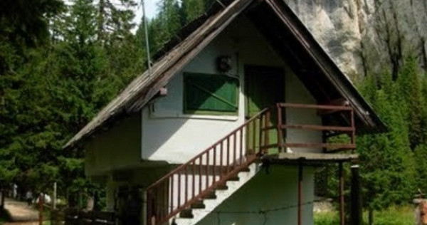 Oportunitate business cabana Horoaba teren 1.55 ha, Padina Bucegi