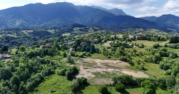 Comision 0% | Teren intravilan 3000 mp| Sohodol | Priveli...