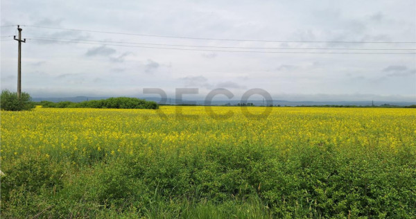 Reco, teren intravila la E60 sacadat