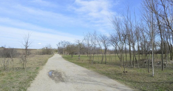 Suseni - Teren intravilan rezidential, suprafata 4000 mp