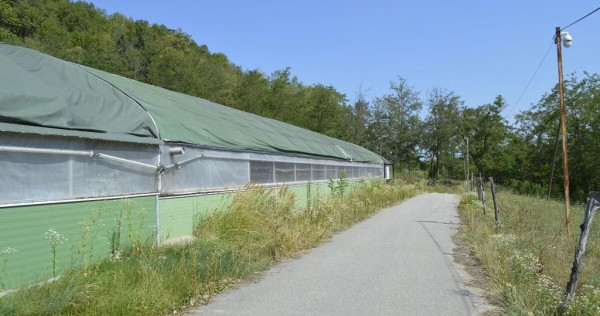 Bogati - Glimbocel, ferma zoo, cladiri autorizate DSV, te...