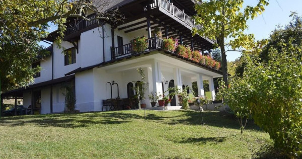 Topoloveni - Conacul Ion Mihalache, Domeniu pe 5 Hectare