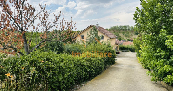 CASA P M | TEREN 2200 MP | STRADA SOFIEI | ZONA DEALURI