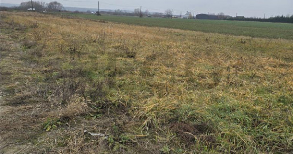 RECO Teren pentru loc de casa cu PUZ Osorhei-Fughiu