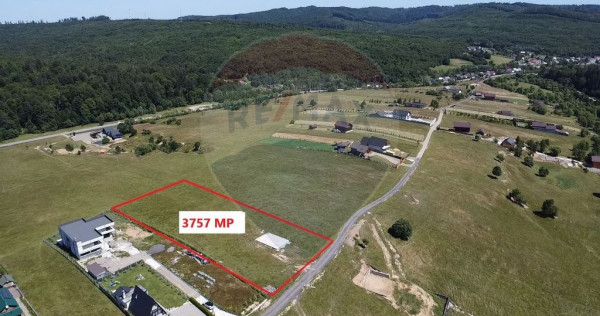 Teren 3,757mp Paltinoasa / Strada principala