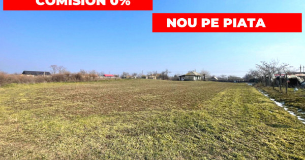 Teren Intravilan Daeni Tulcea