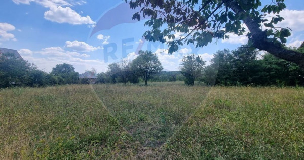 Teren intravilan 11.500 mp &ndash; Strada Cismari Vălenii ...