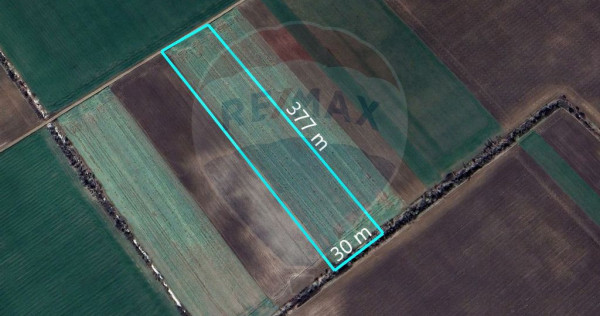 Teren extravilan, 11295 mp, Afumati, plan secund DN dn2