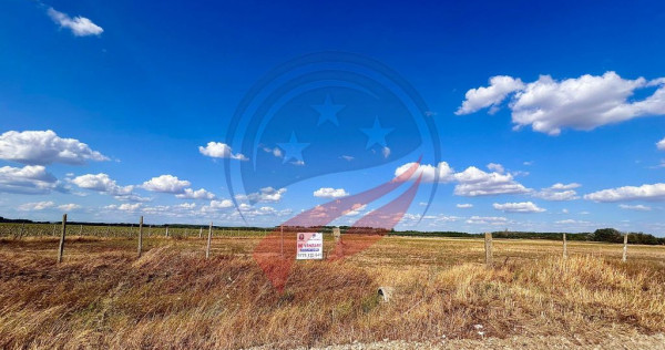 Teren 30.500 mp de vanzare in Livezi, Dolj