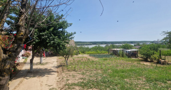 MAHMUDIA-TERENURI SI CASE