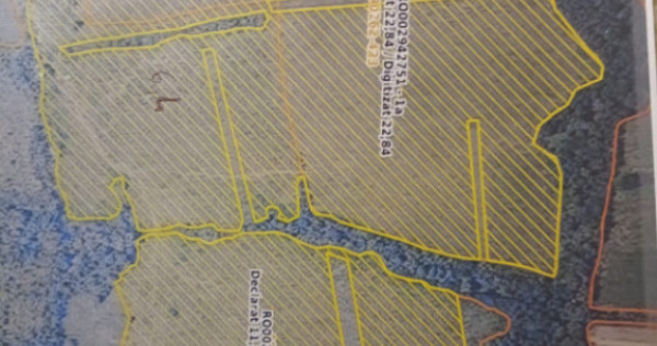 Oportunitate de investitie- teren Martinesti, Hunedoara