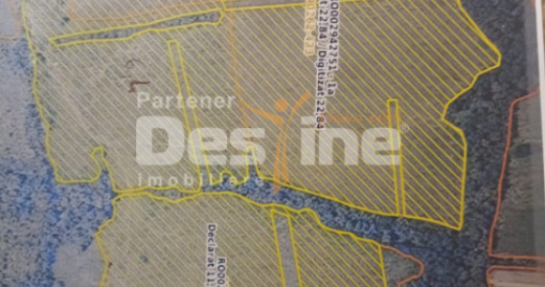 Oportunitate de investitie- teren Martinesti, Hunedoara
