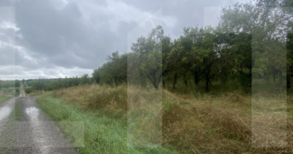 Teren cu potențial rezidențial – Simeria, Sfântu Gheorg