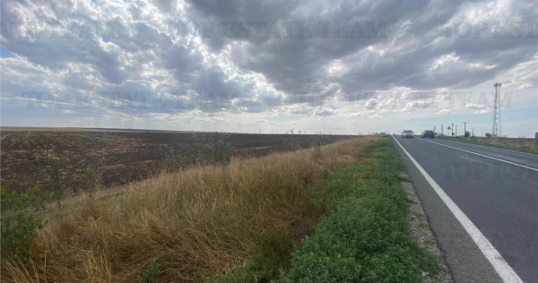 Teren extravilan in Mihail Kogalniceanu, Constanta