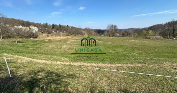 Teren Govora / 8131mp