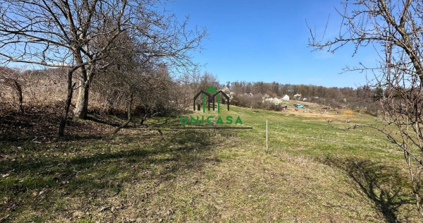 Teren Govora / 8131mp