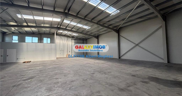 Hala depozitare Parc Industrial TBM Rudeni