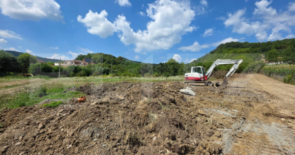 Teren generos – 35 Ari, poziție excelentă Villa Franca