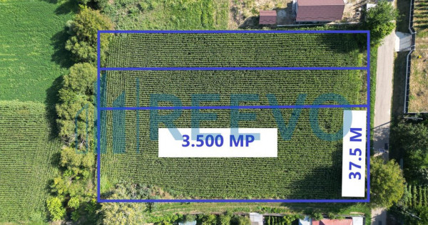 Teren intravilan de vânzare, Sat Bogdănști, Com. Traian