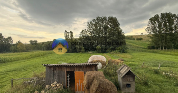 Casa de vanzare - GHINDAOANI