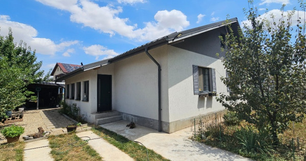 Casa parter + pod - Berceni