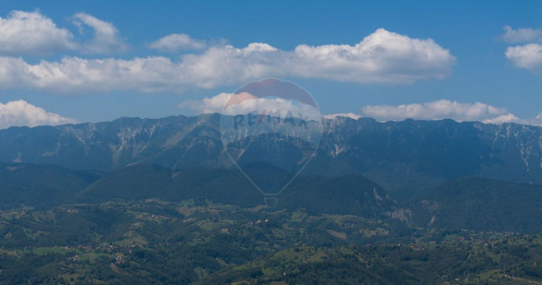 Teren Panoramic in Bran &ndash; Vedere spre Bucegi & Piatra C...