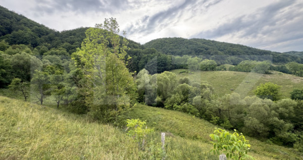 Teren extravilan 23.376 mp, în apropiere de Brad