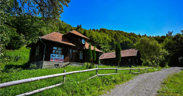 FILM! Casa traditionala, 4.300mp teren, Bran - Simon
