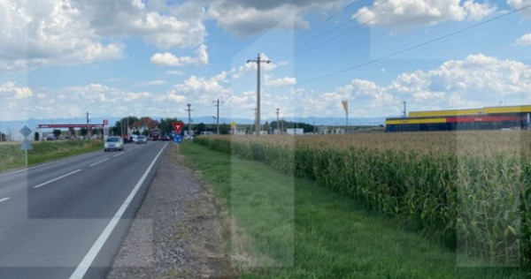 Oportunitate – teren 1HA, front 191 m, Reci, nod de tranzi