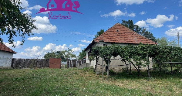 Casa in localitatea Carandeni