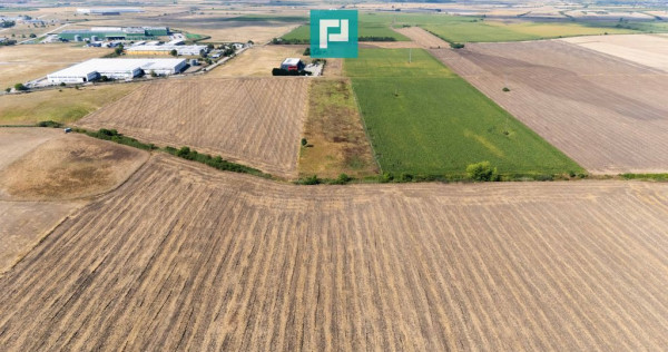 Oportunitate! Teren 4.345 mp – Şagului