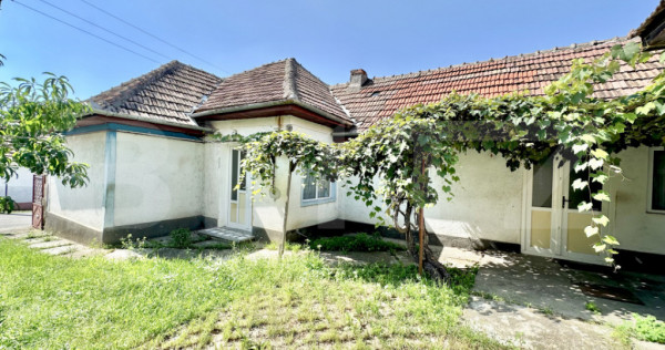 Casă de vanzare 114 mp cu pivnițe, anexe și curte mare ,t