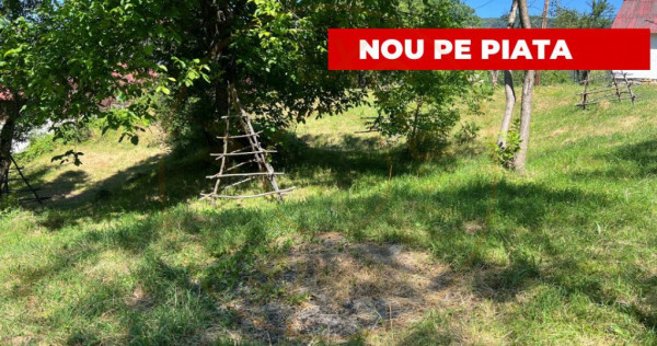 Teren 4996 mp zona de munte Comuna Arefu-Capataneni Arges