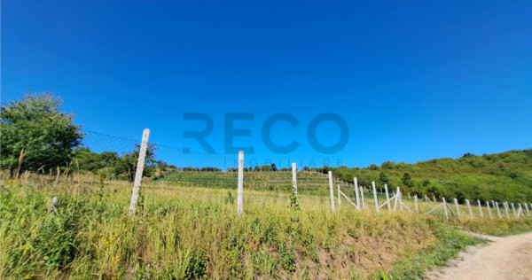 RECO teren intravilan Podgoria