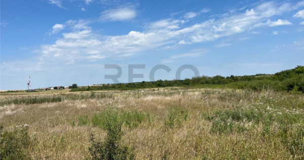 RECO Teren intravilan 3,9 ha -Les