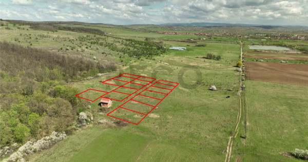 RECO, teren intravilan, Ineu,Bihor