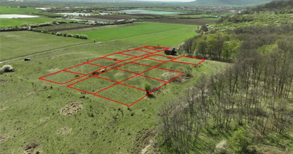 RECO, teren intravilan, Ineu,Bihor
