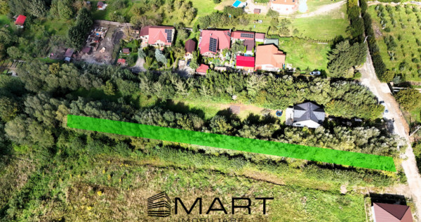 Teren intravilan 1700 mp Tocile de Sus