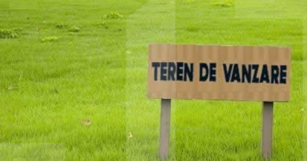 Teren forestier 6.500 mp – Cucorani, cu PUD aprobat