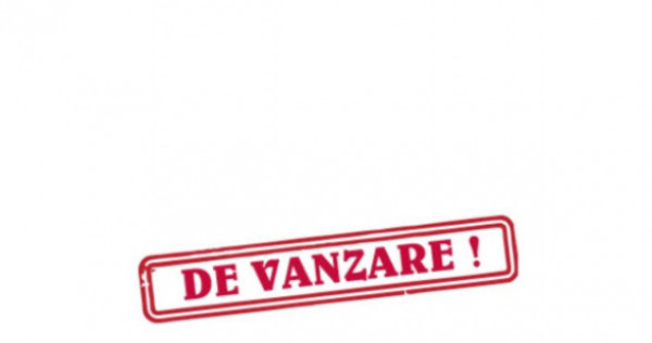 Casa batraneasca, teren 19.000 mp, Fratautii Vechi