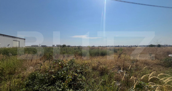 Teren 2000 mp comercial/industrial Calea Bucuresti, zona est